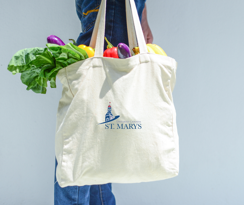 Person holding shopping bag full of produce