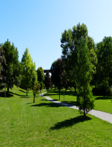 Photo of Taylor Trail walking path in park